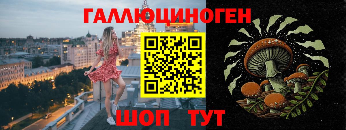 Иркутск  Галлюциногенные грибы Cubensis  Вход с VPN 